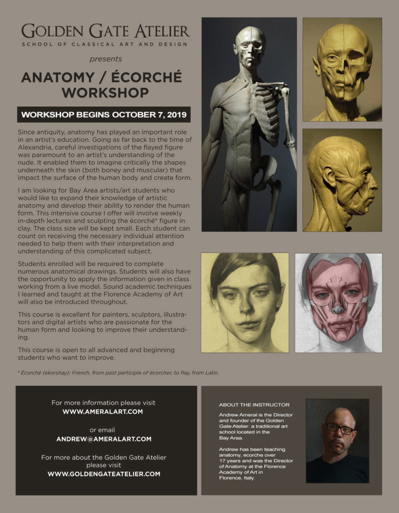 anatomy ecorche flier 2019 2020 finished